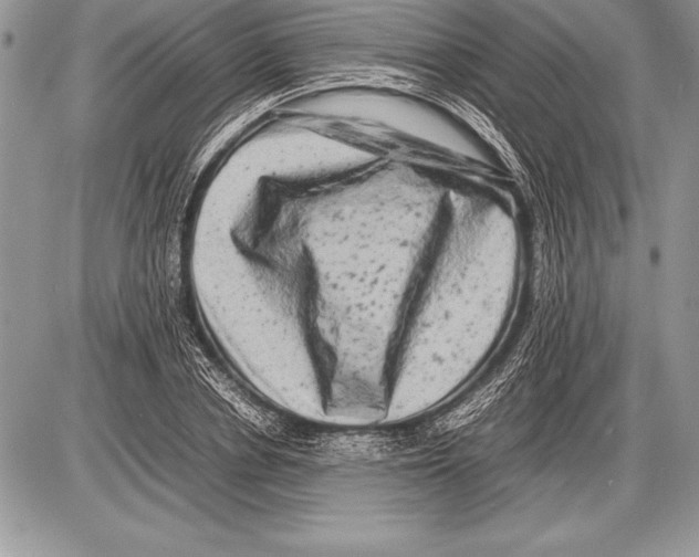 X0000085730834200704131617