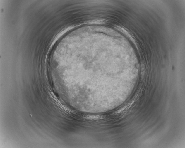 X0000085730835200704131617