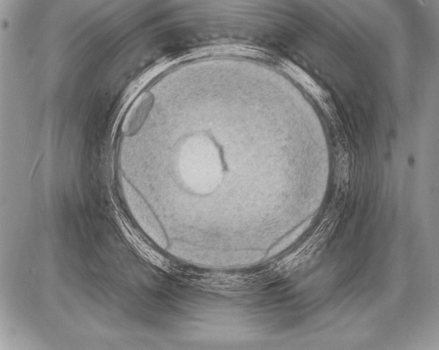 X0000085730836200704131617