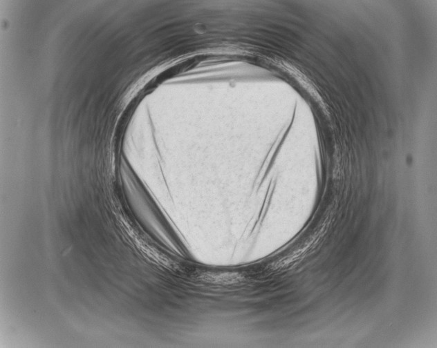 X0000085730837200704131617