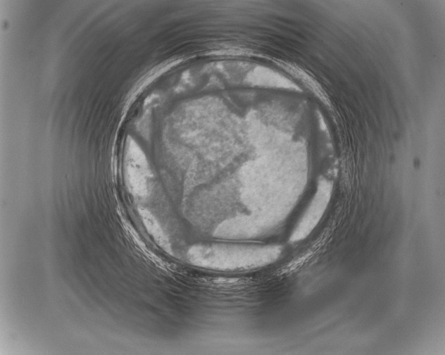 X0000085730839200704131617