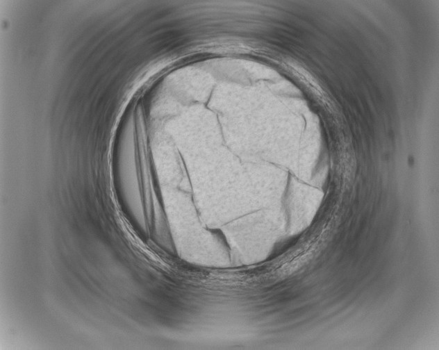 X0000085730840200704131617