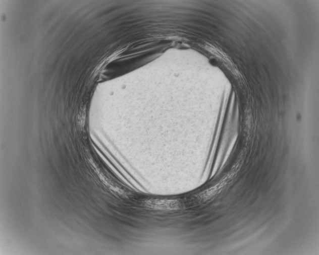 X0000085730841200704131617