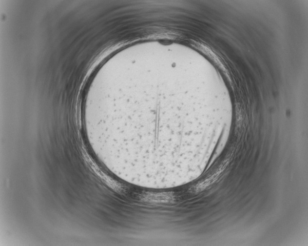 X0000085730843200704131617