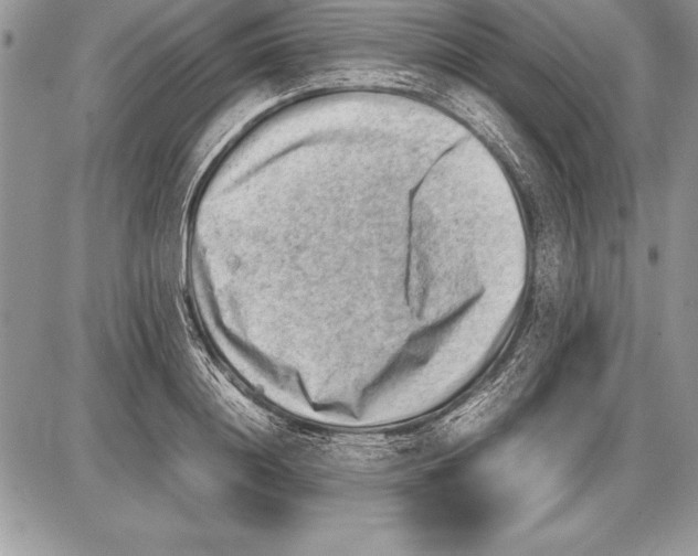 X0000085730844200704131617