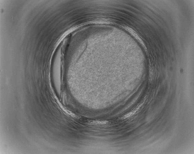 X0000085730845200704131617