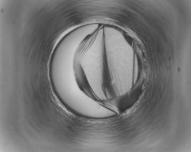 X0000085730846200704131617