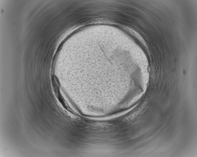 X0000085730847200704131617