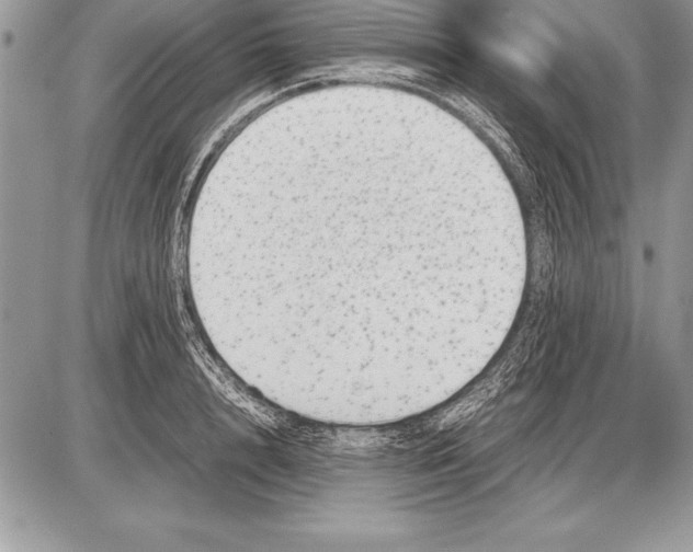 X0000085730848200704131617