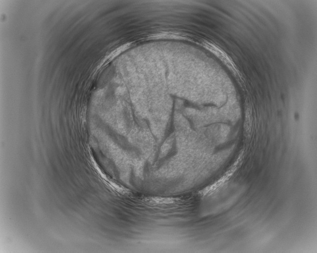 X0000085730849200704131617