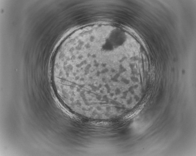 X0000085730851200704131617