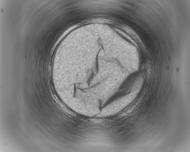 X0000085730852200704131617