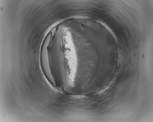 X0000085730853200704131617