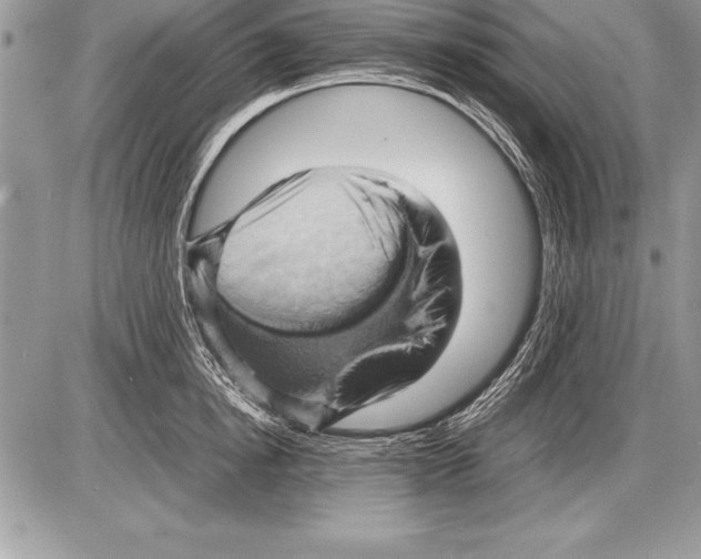 X0000085730854200704131617