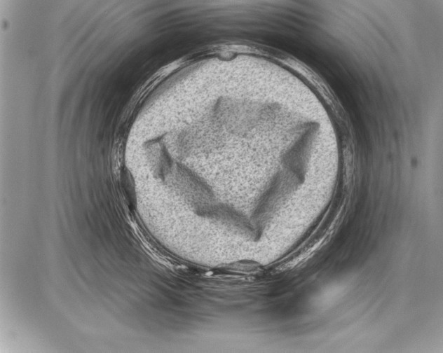 X0000085730857200704131617