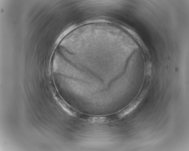 X0000085730858200704131617