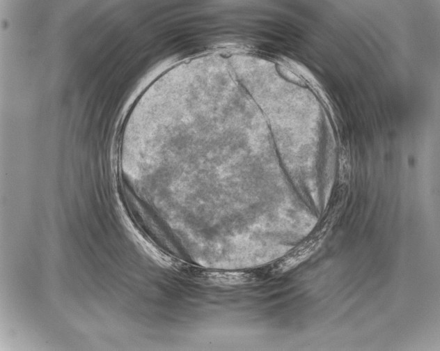 X0000085730859200704131617