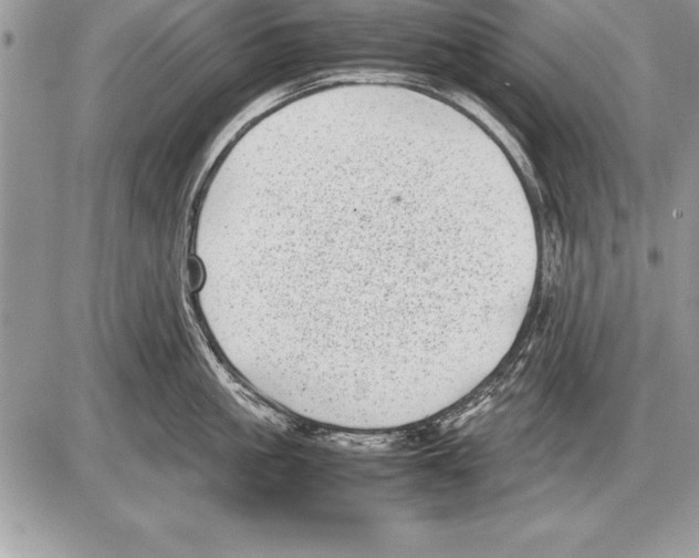 X0000085730861200704131617