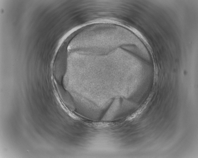 X0000085730862200704131617