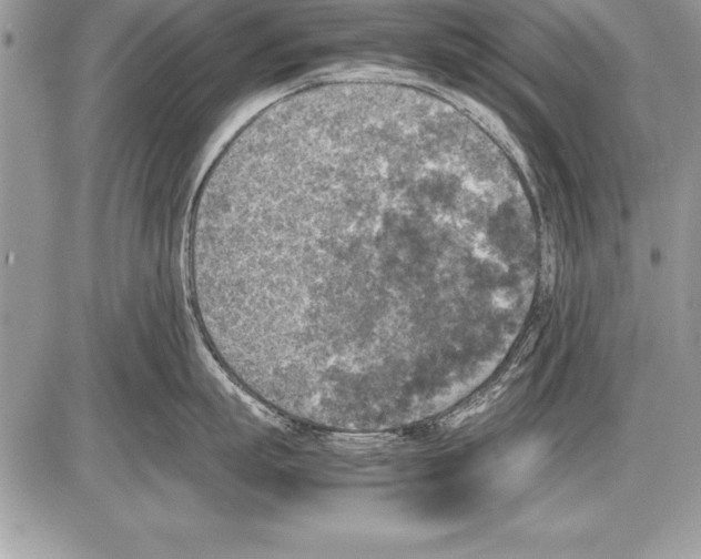 X0000085730863200704131617