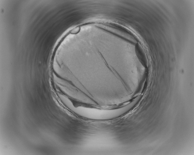 X0000085730864200704131617