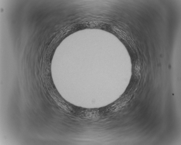 X0000085730865200704131617