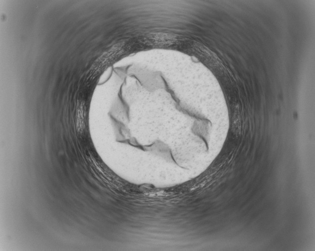 X0000085730866200704131617