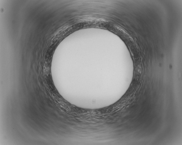 X0000085730869200704131616