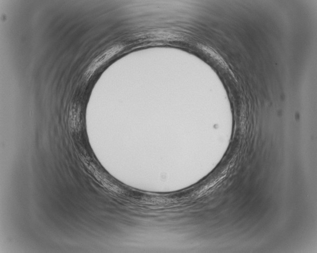 X0000085730873200704131616