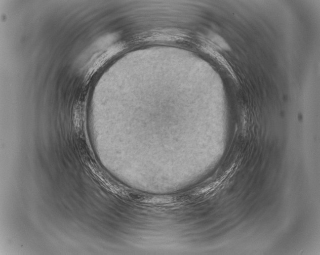 X0000085730874200704131616