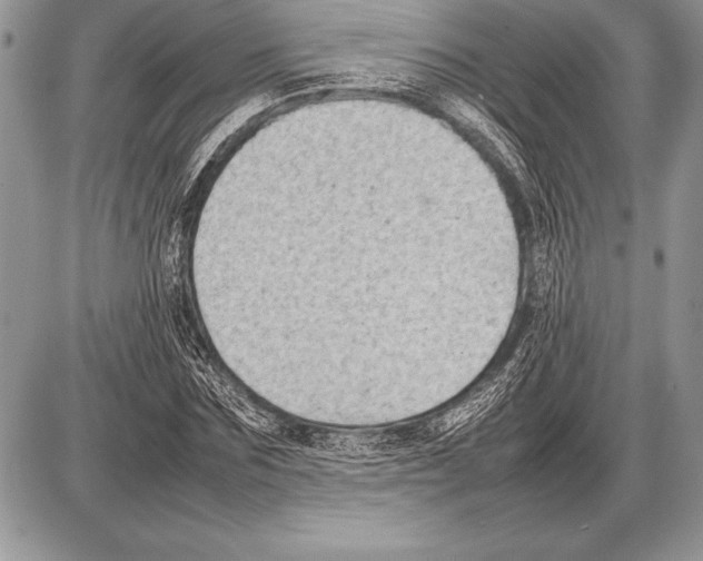 X0000085730875200704131616