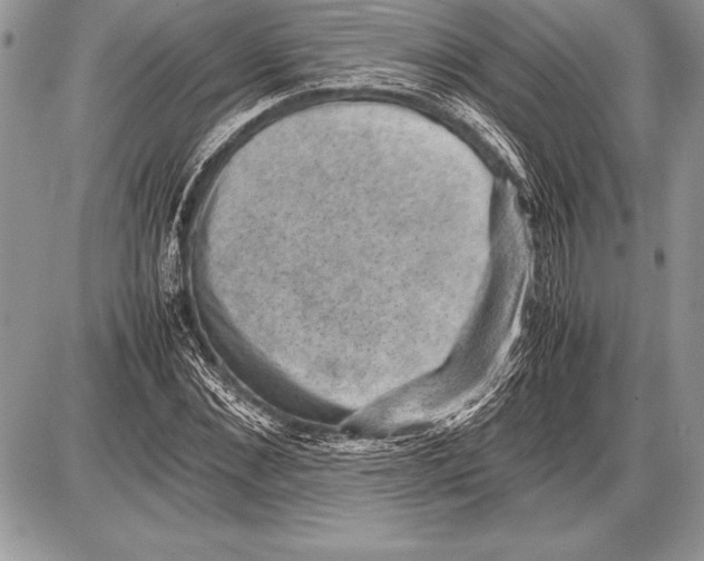 X0000085730876200704131616