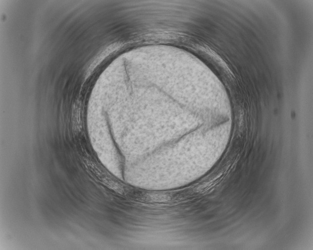 X0000085730878200704131616