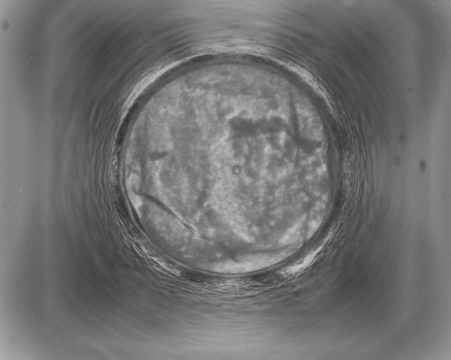 X0000085730879200704131616