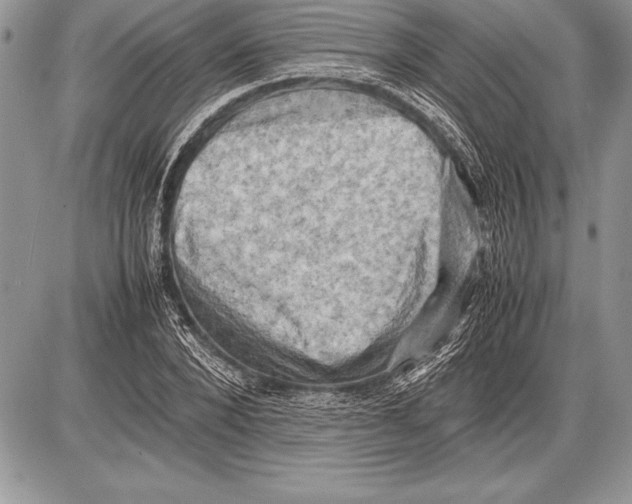 X0000085730880200704131616