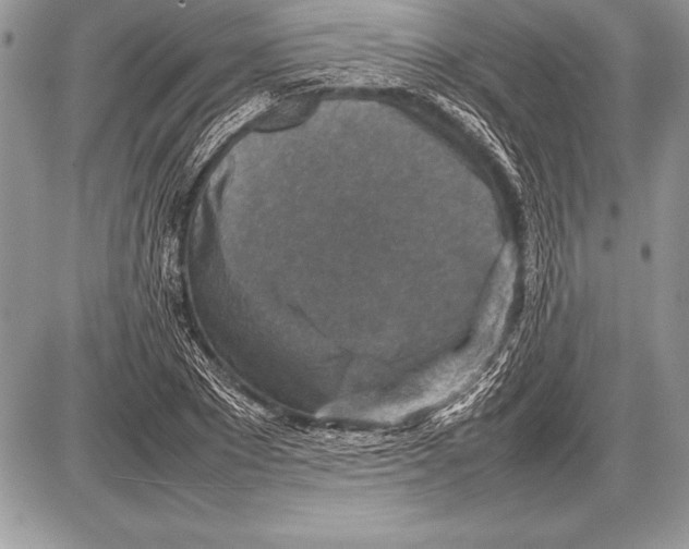 X0000085730881200704131616