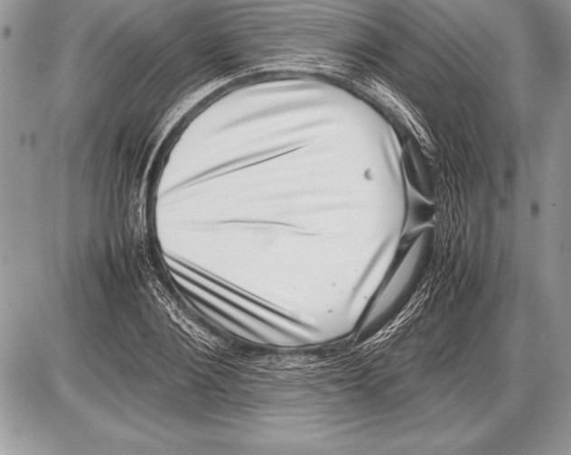 X0000085730884200704131616