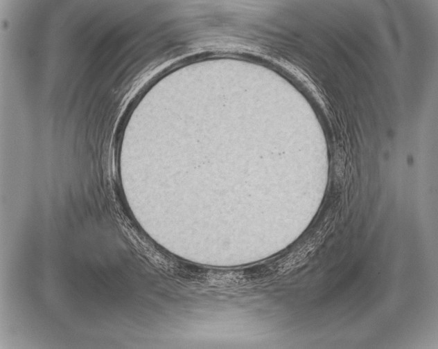 X0000085730887200704131616