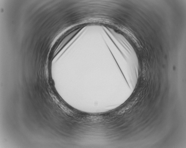 X0000085730888200704131616