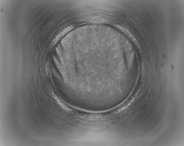 X0000085730889200704131616