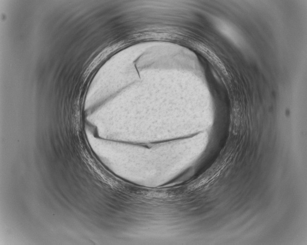 X0000085730890200704131616