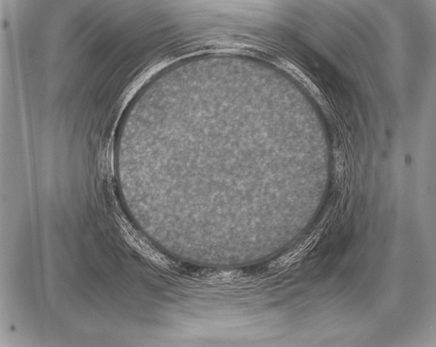 X0000085730891200704131616