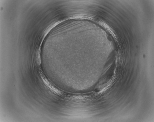 X0000085730892200704131616