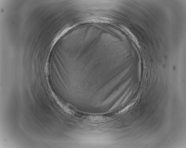 X0000085730893200704131616