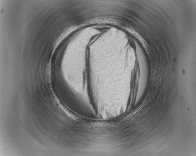 X0000085730894200704131616