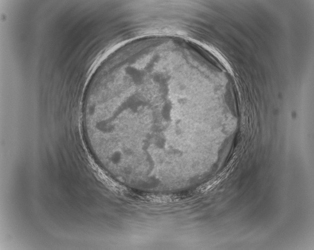 X0000085730895200704131616