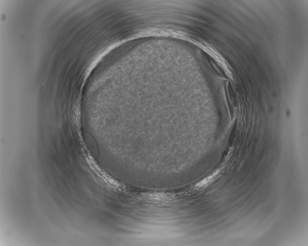 X0000085730896200704131616