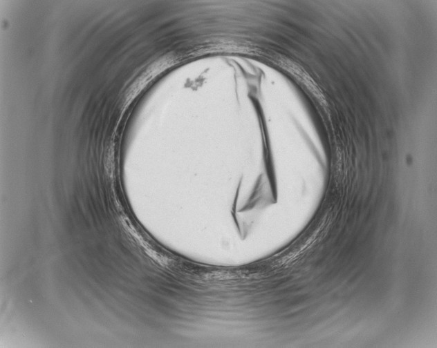 X0000085730898200704131616