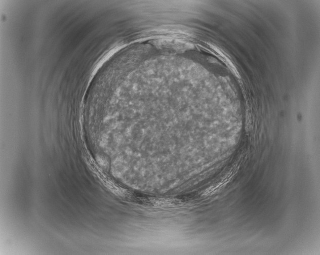 X0000085730899200704131616