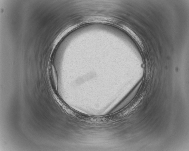 X0000085730901200704131616